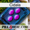 Cidala 04